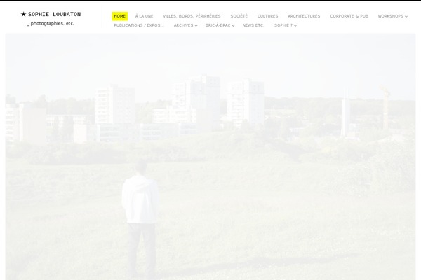 Fluxus theme site design template sample