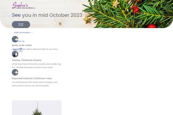 Astra theme site design template sample