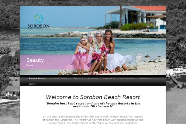 Lamoon theme site design template sample