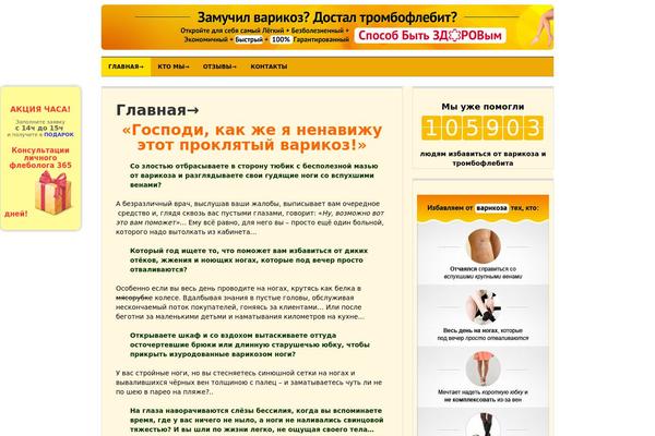 Denizy theme site design template sample
