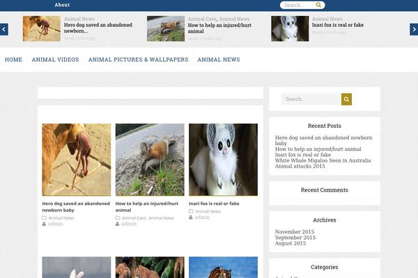 ClesarMedia theme site design template sample