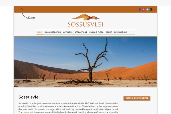 Maxima theme site design template sample