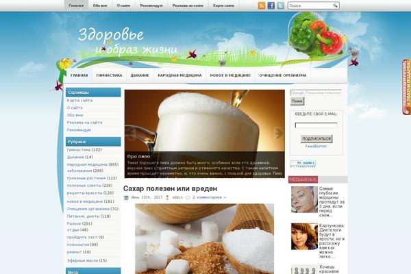 Healthydiet theme site design template sample