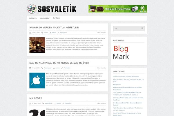 Cleanmag theme site design template sample