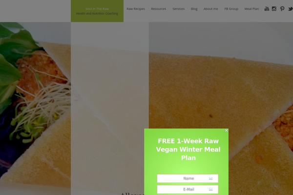 Mace theme site design template sample