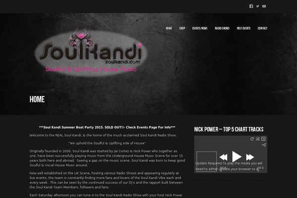Musicpro theme site design template sample