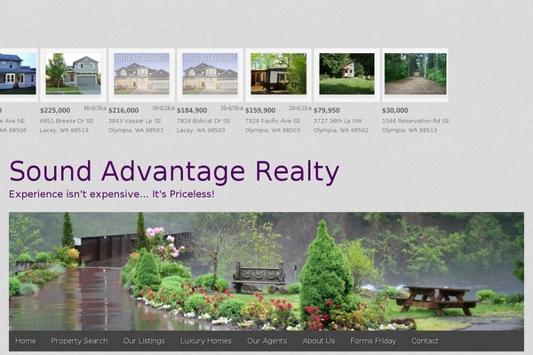 Gridiculous Pro theme site design template sample