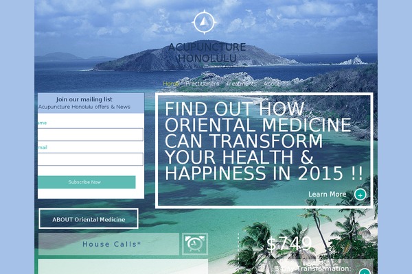 Honolulu_Acupuncture theme websites examples