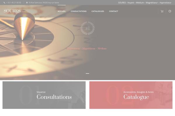 BrainBizz theme site design template sample