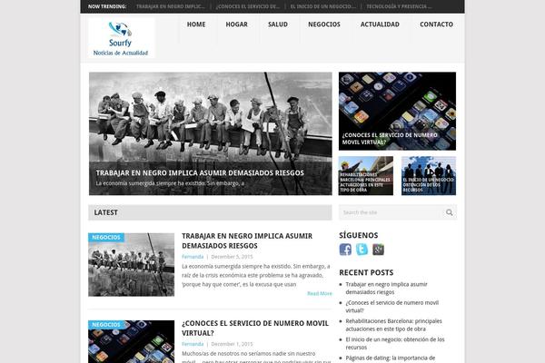 Point theme site design template sample