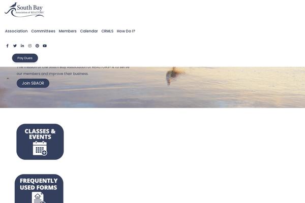Consultio-child theme site design template sample