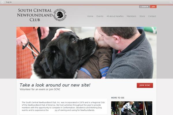 Salutation theme site design template sample