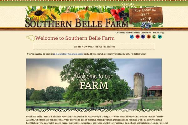 Site using Pinterest Pinboard Widget plugin
