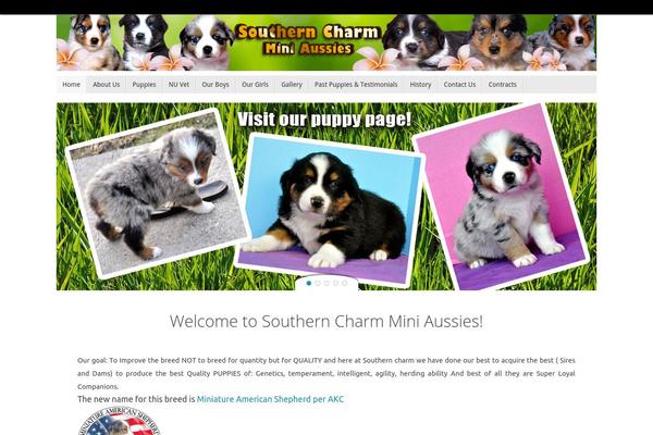 Tempera theme site design template sample