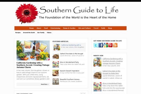 Wp Bold110 theme site design template sample