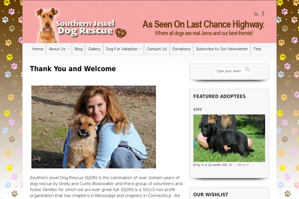 Site using Dave's WordPress Live Search plugin