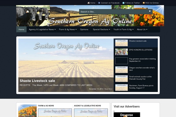 Snapwire theme site design template sample