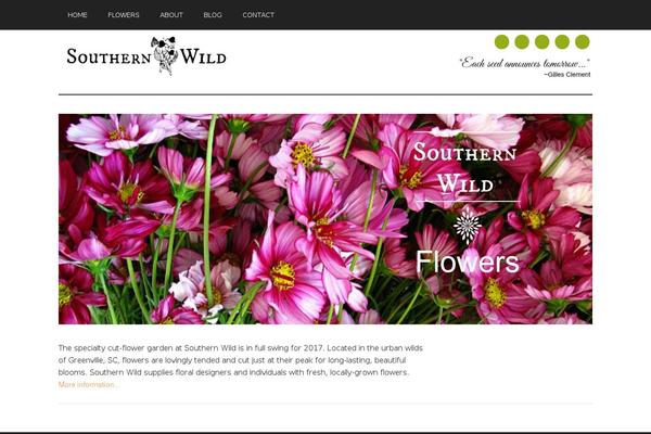 Magazine Pro theme site design template sample