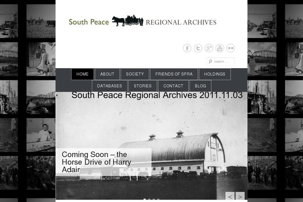 Catch Everest theme site design template sample