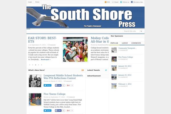 Daily theme site design template sample
