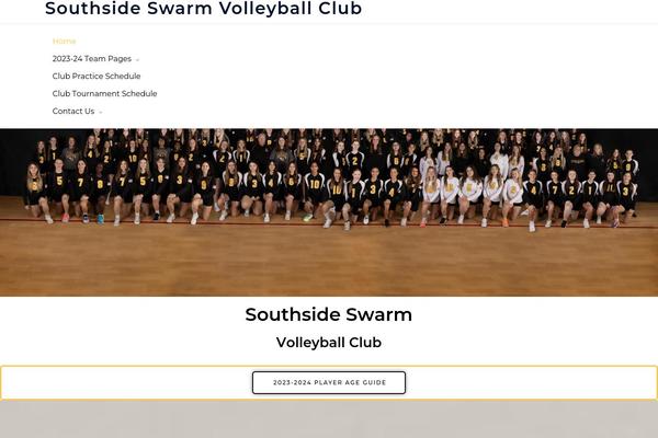 Astra theme site design template sample