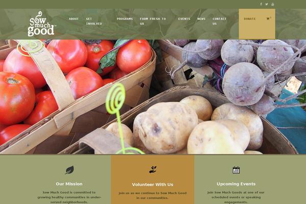 Site using Wp-show-posts-pro plugin