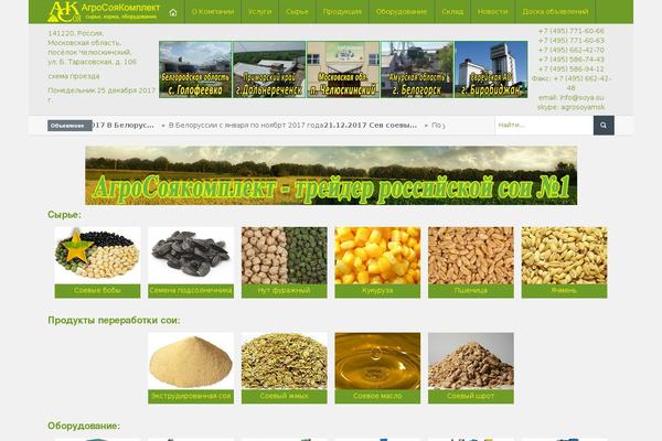 Magazine theme site design template sample