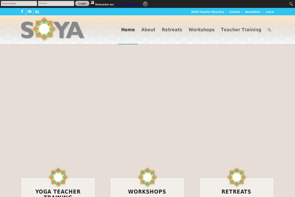 Site using Google Analytics Dashboard By Analytify plugin