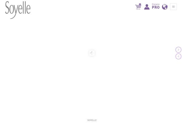 Site using Yith-woocommerce-pdf-invoice-premium plugin
