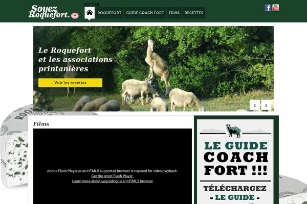 Bootstrap theme site design template sample
