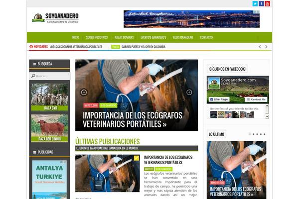 Multinews theme site design template sample