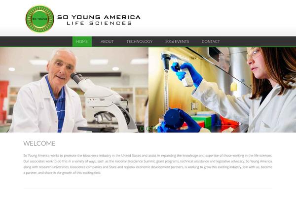 AccessPress Lite theme site design template sample