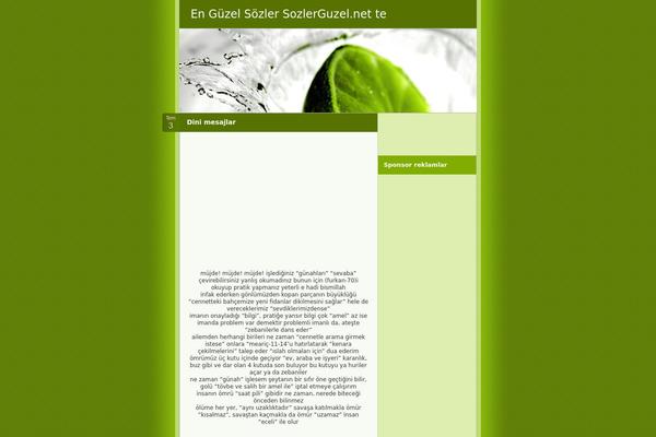 Bitter Sweet theme site design template sample