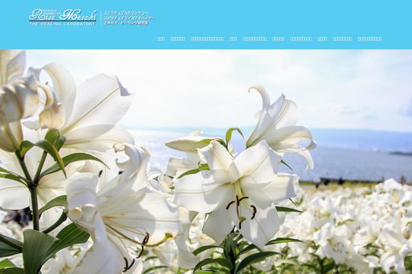 Xeory_extension theme site design template sample