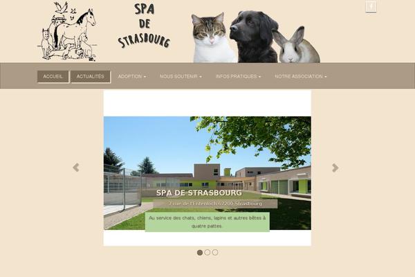 Enigma theme site design template sample