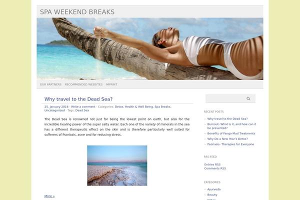 picolight theme site design template sample