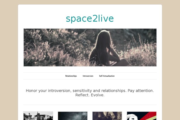 Site using Pinterest-site-verification plugin