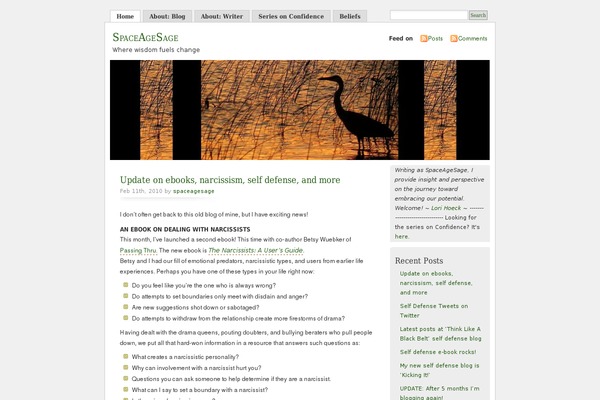 Misty Look theme site design template sample