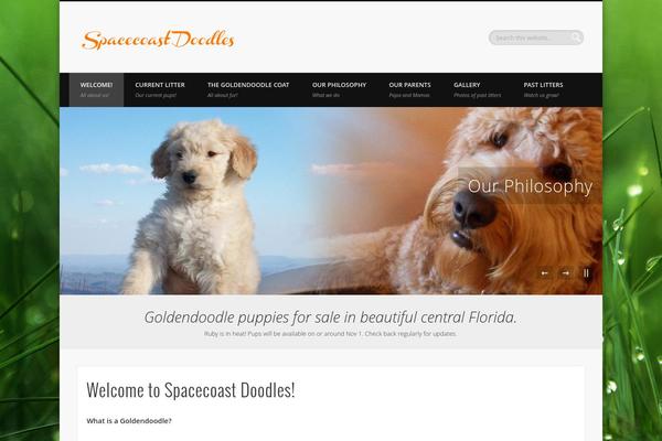 spacecoastdoodles.com site used Pinboard