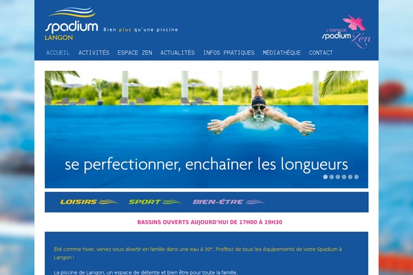Spadium theme site design template sample