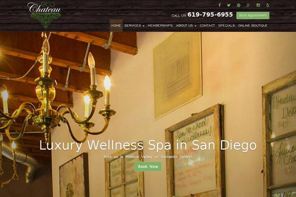 Site using Instagram-pro-by-wpzoom plugin