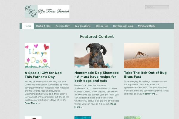 Catch-responsive-pro theme site design template sample