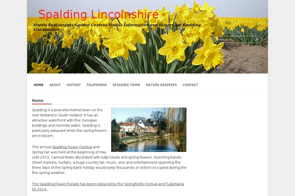 Sparkling theme site design template sample