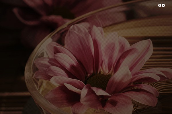 Photolio theme site design template sample