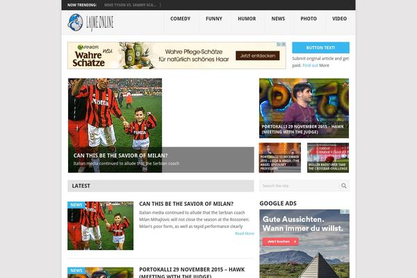 Point theme site design template sample