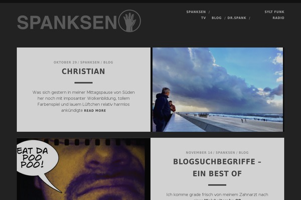 Site using Flash Video Player plugin