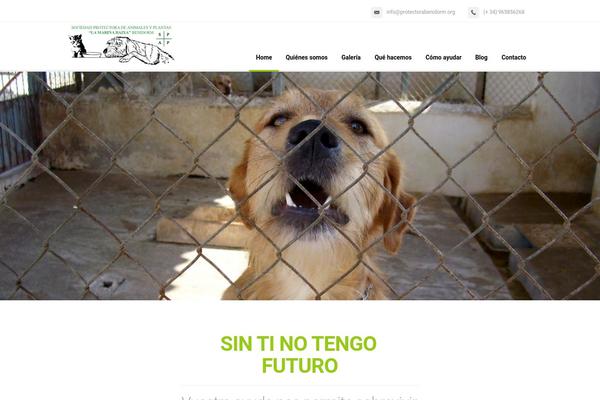 Florida theme site design template sample