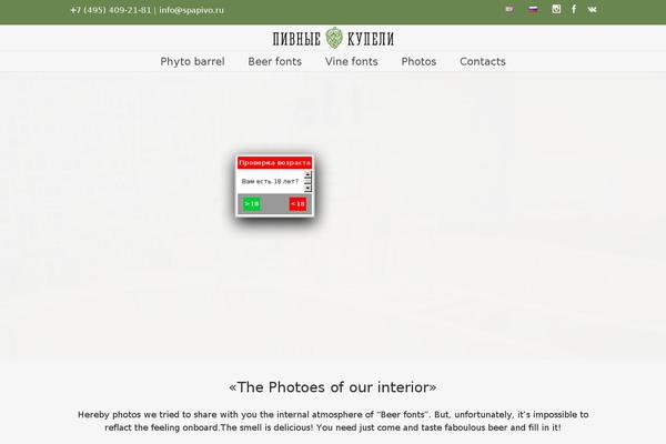 Avada theme site design template sample