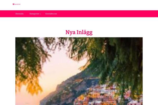 Vandana Lite theme site design template sample
