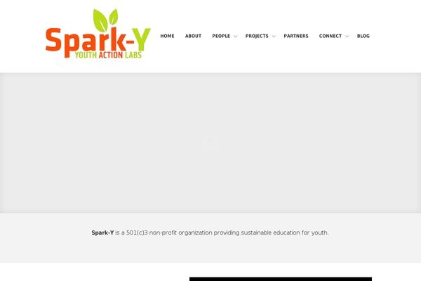 District theme site design template sample